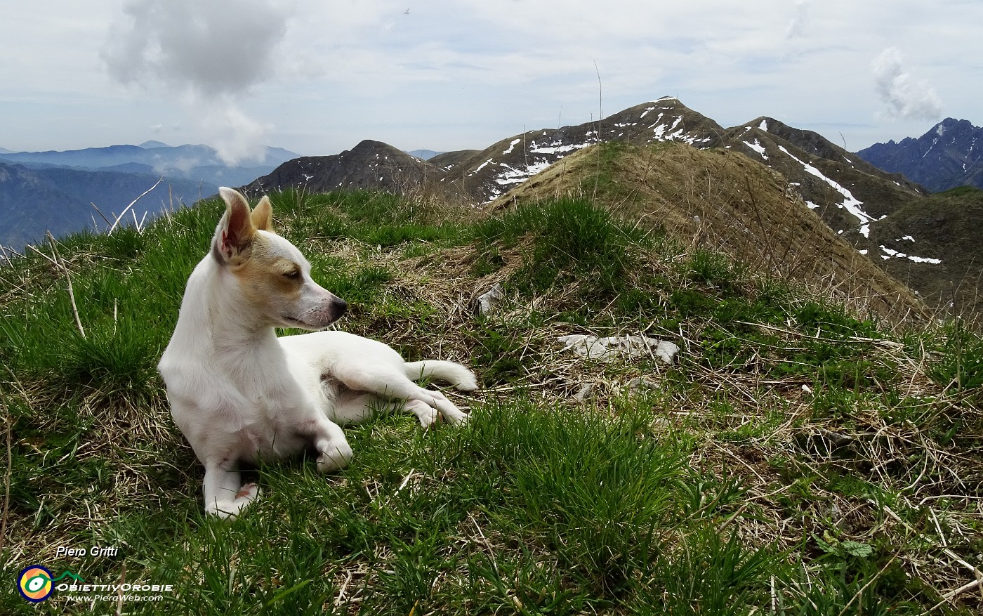 67 Finalmente in vetta al 'Soc di Agnei' (Cima degli Agnelli)-2057 m) .JPG -                                